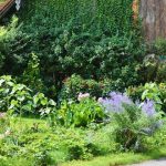 DIY Tips For Constructing A Budget-Friendly Outdoor Garden Space